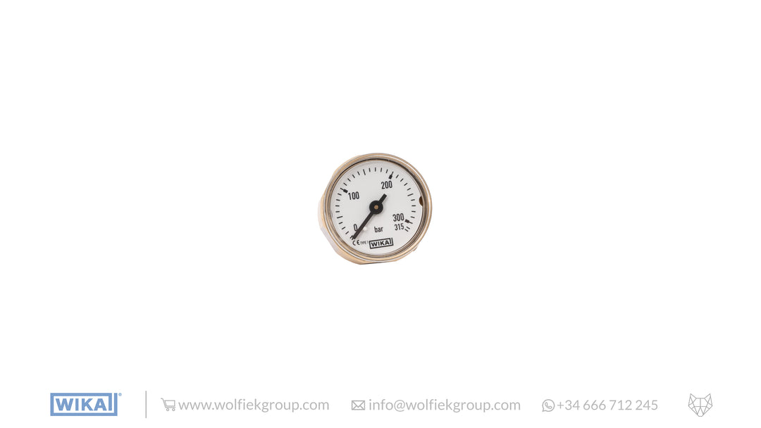Wika Analogue Pressure Gauge 0 - 315 BAR - White