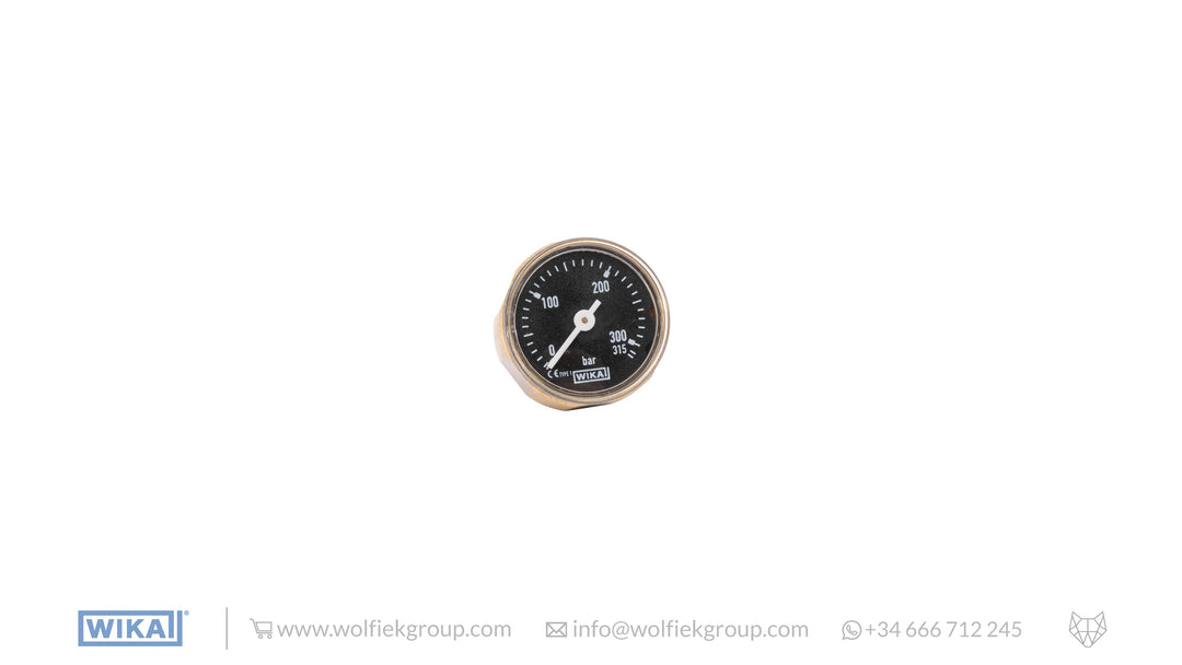 Wika Analogue Pressure Gauge 0 - 315 BAR - Black Limited Edition