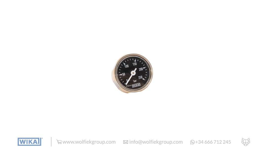 WIKA Analogue Gauge in black